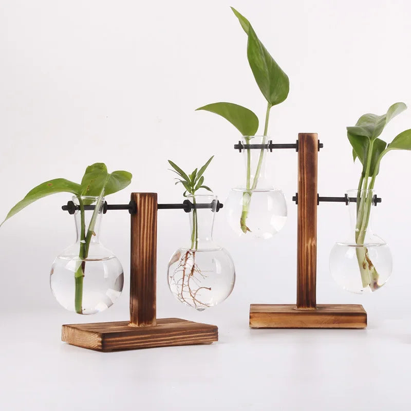 Hydroponic Plant Terrarium Glass Vase for Home and Office Desktop Decoration