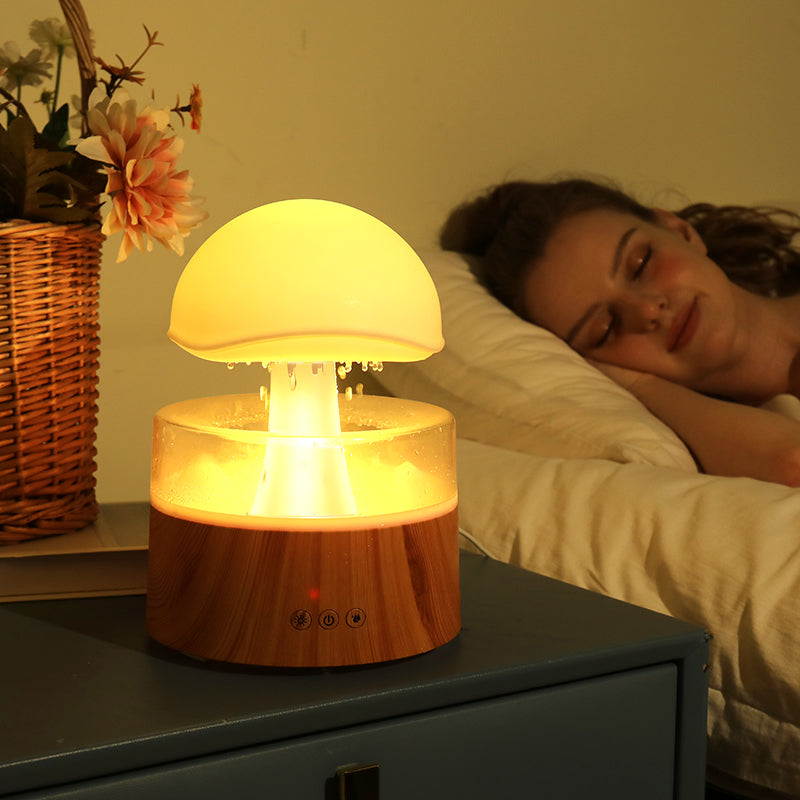 Rain Cloud Ultrasonic Humidifier and Aromatherapy Diffuser