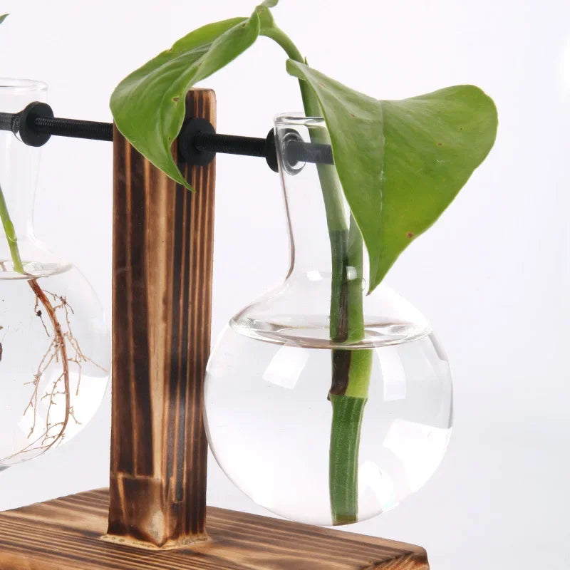 Hydroponic Plant Terrarium Glass Vase for Home and Office Desktop Decoration
