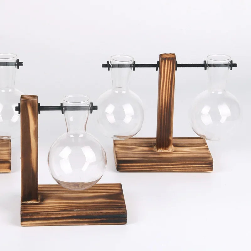 Hydroponic Plant Terrarium Glass Vase for Home and Office Desktop Decoration