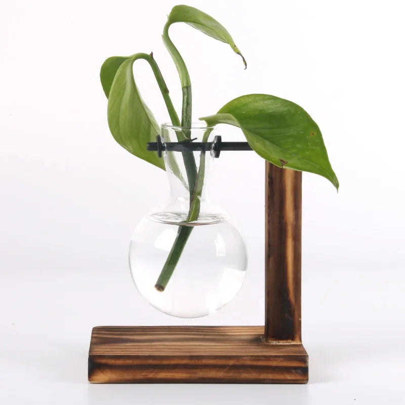 Hydroponic Plant Terrarium Glass Vase for Home and Office Desktop Decoration