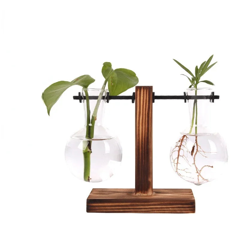 Hydroponic Plant Terrarium Glass Vase for Home and Office Desktop Decoration