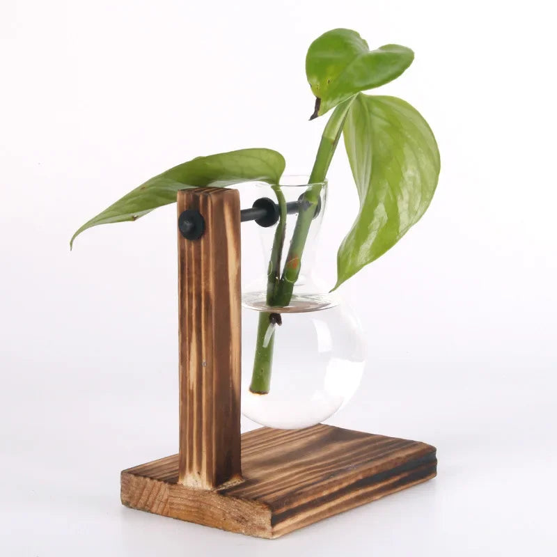 Hydroponic Plant Terrarium Glass Vase for Home and Office Desktop Decoration